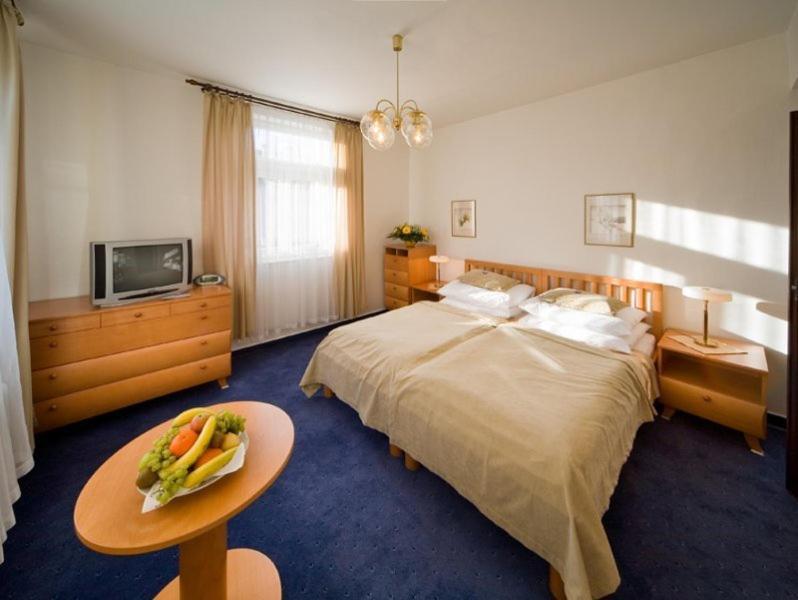Monti Spa Frantiskovy Lazne Room photo