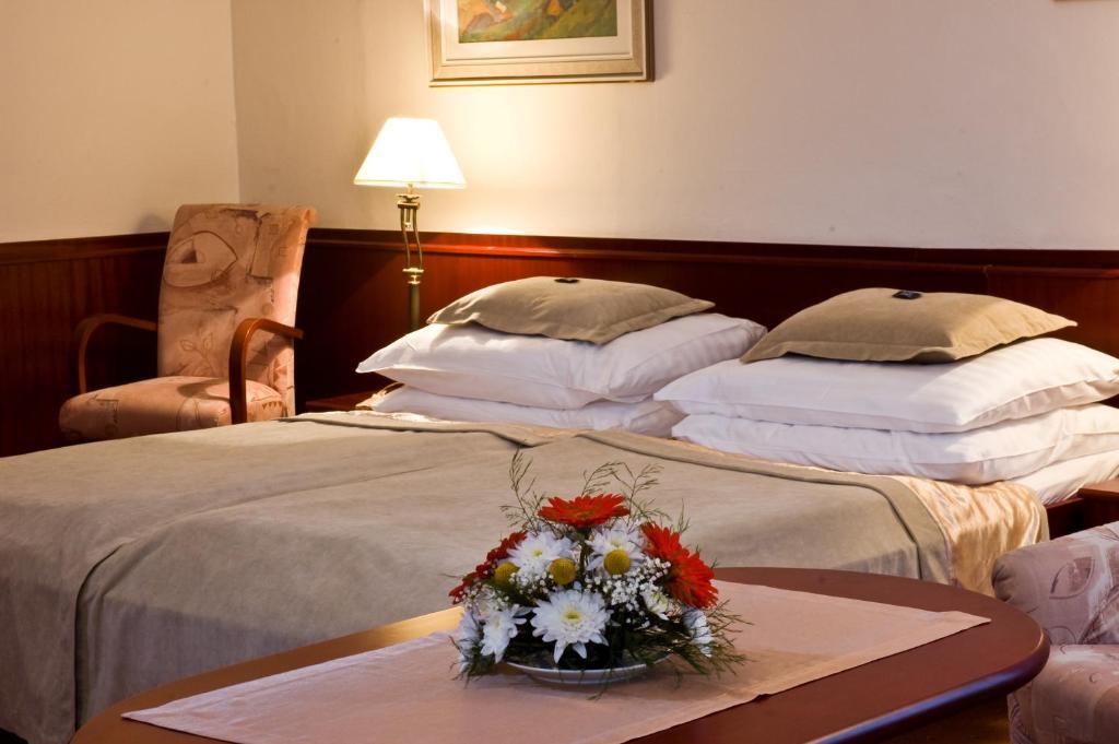 Monti Spa Frantiskovy Lazne Room photo