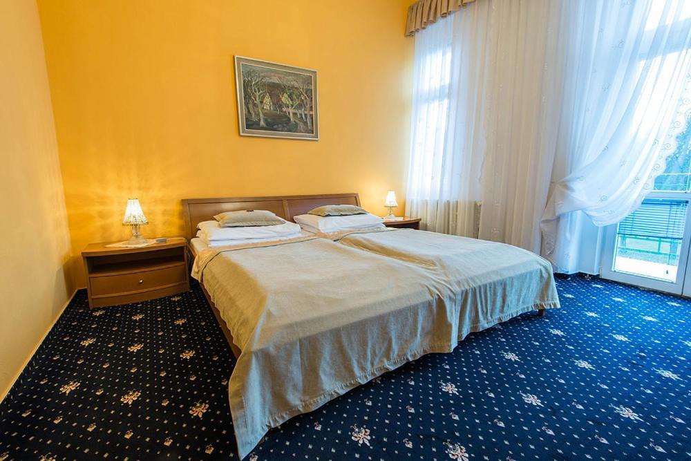 Monti Spa Frantiskovy Lazne Room photo